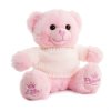 TB320-P: 20cm Pink Teddy Bear with Sweater